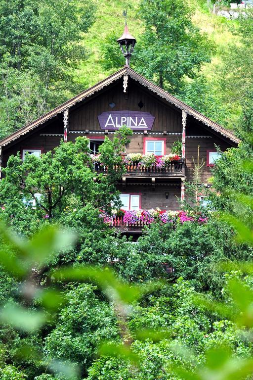 Landhaus Alpina Konuk evi Mittersill Dış mekan fotoğraf